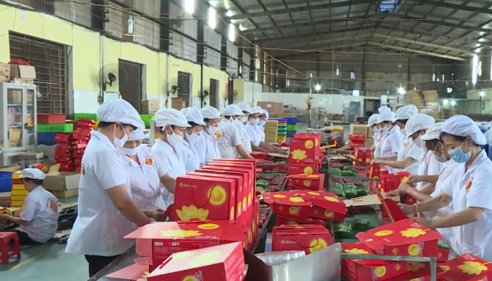 Giay chung nhan co so du dieu kien an toan thuc pham