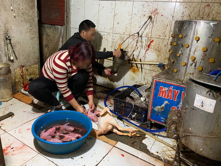 Các cơ sở kinh doanh dịch vụ ăn uống không đảm bảo vệ sinh ATTP sẽ bị phạt nặng