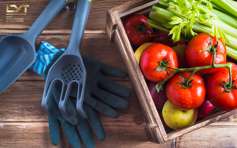 nguyên tắc đảm bảo vệ sinh an toàn thực phẩm